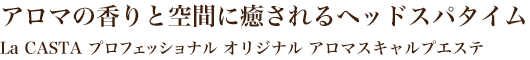 アロマの香りと空間に癒されるヘッドスパタイム -La CASTA プロフェッショナルオリジナルアロマスキャルプエステ